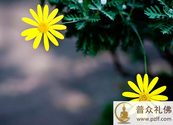 不带怒气出门,不带怨气处世