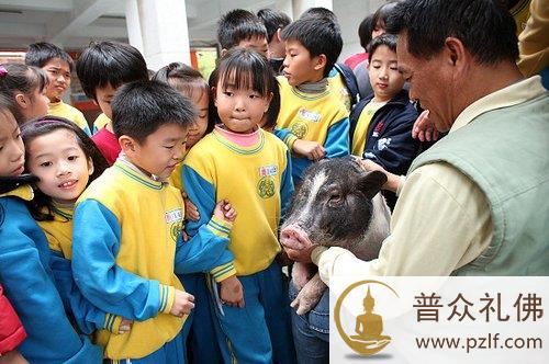 《和猪猪一起上课的日子》重现台湾中坜龙冈国小