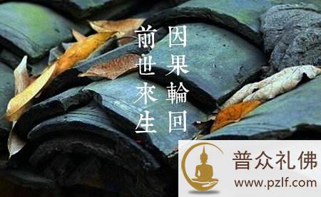 三人吃饭赖帐让老妇心生怨恨，转世为牛报仇索命