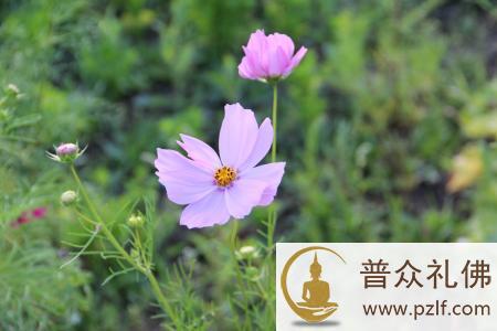 不要怕,不要悔