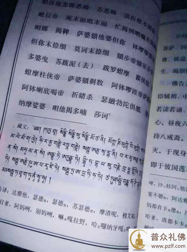 义清法师：索堪布讲《药师经》增加藏咒，再贬汉传！