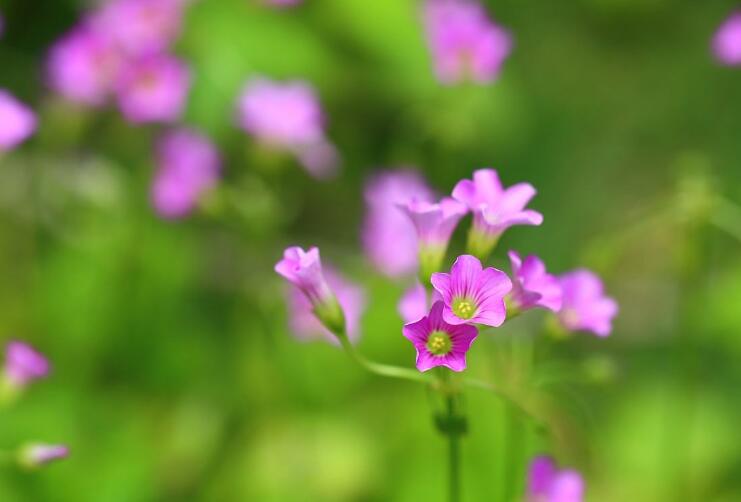 2017春节洞山首届禅修班掠影