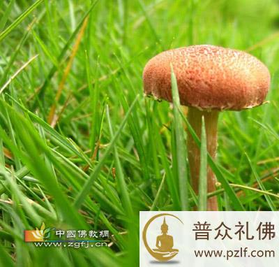 人生四件可悲的事